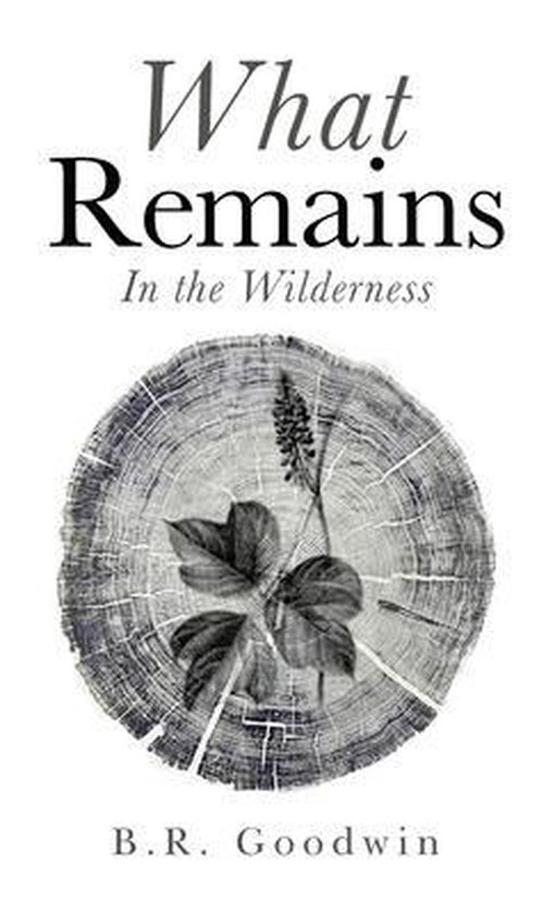 What Remains - cover