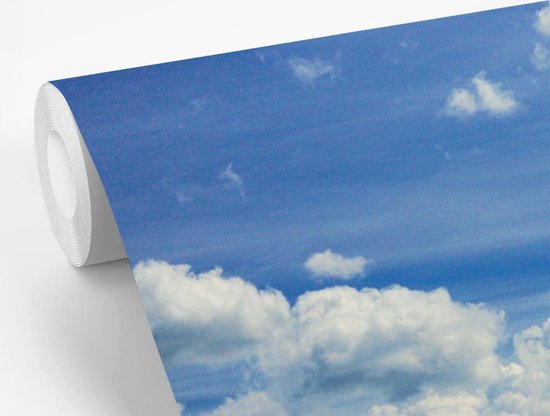 Papier Peint - Papiers Papier peint photo Forêt - Chemin - Berg - Largeur 300 cm x Hauteur 300 cm