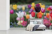Behang - Fotobehang Een veld vol met kleurrijke tulpen - Breedte 420 cm x hoogte 280 cm