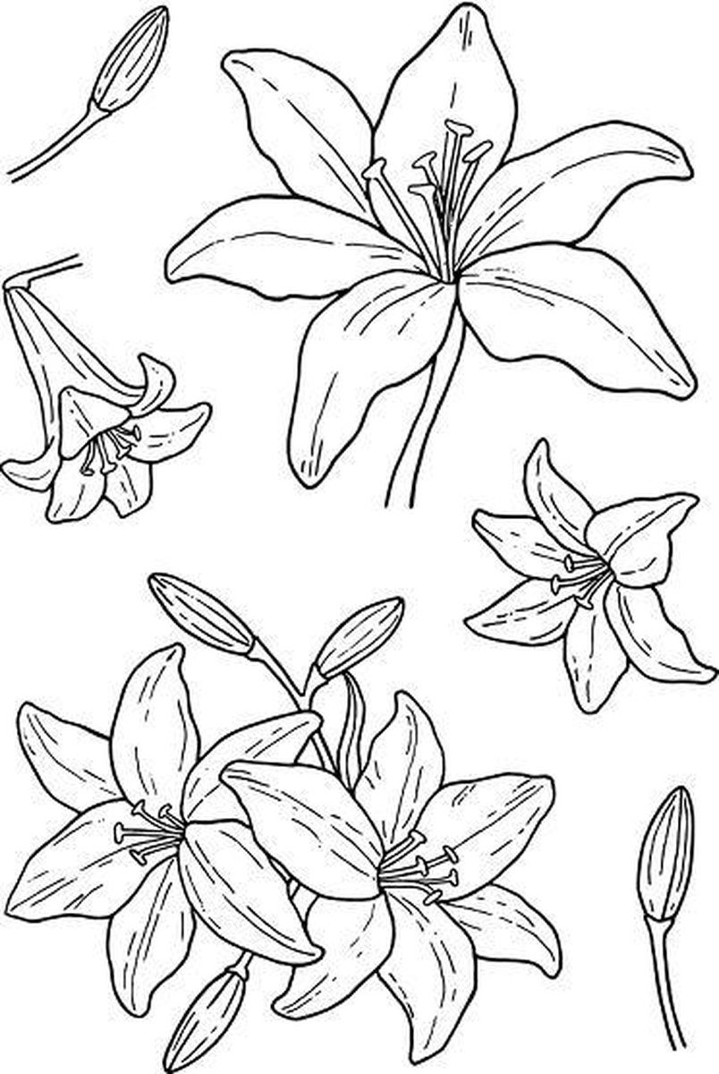 Lily Clear Stamps (JD021) (DISCONTINUED)