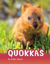 Animals - Quokkas