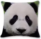 Dieren kussenhoes Panda - Pandabeer - Fotoprint - Sierkussen - 45x45 cm