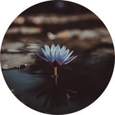 Muurcirkel Lotus - buiten en binnen - bloemen en planten - tuindecoratie - Ø 50 cm