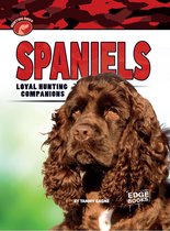 Hunting Dogs - Spaniels