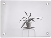 Tuinposter – Zwart-Witte foto van Plant op Kruk - 40x30cm Foto op Tuinposter  (wanddecoratie voor buiten en binnen)