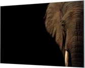 Wandpaneel Olifant in het Donker  | 120 x 80  CM | Zwart frame | Wandgeschroefd (19 mm)