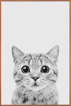 JUNIQE - Poster met kunststof lijst Kitten Classic -13x18 /Wit & Zwart