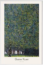 JUNIQE - Poster met kunststof lijst Klimt - Park -20x30 /Groen