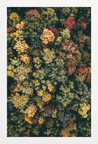 JUNIQE - Poster in houten lijst Herfstbomen - luchtfotografie -60x90