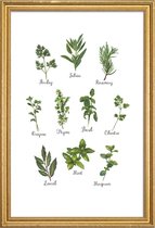 JUNIQE - Poster met houten lijst Herbs Collection -20x30 /Groen & Wit