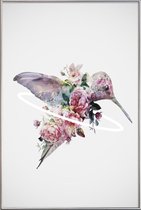 JUNIQE - Poster met kunststof lijst Kolibri -40x60 /Kleurrijk