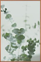 JUNIQE - Poster met kunststof lijst Eucalyptus Green 2 -13x18 /Groen &