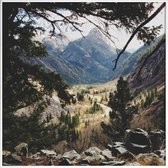 JUNIQE - Poster met kunststof lijst San Juan Forest -30x30 /Blauw &