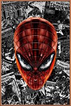 JUNIQE - Poster met kunststof lijst The Spider-Man - Een stripheld