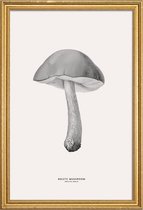 JUNIQE - Poster met houten lijst Bolete Mushroom -13x18 /Grijs & Ivoor