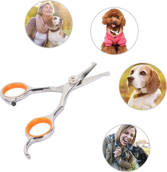 Sosoport 1 Set Schaar Ring Honden Speelgoed Ontklitter Uitrusting