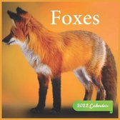 Foxes Calendar 2022