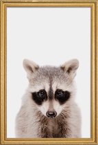 JUNIQE - Poster met houten lijst Raccoon -40x60 /Grijs & Zwart