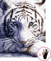 Schilderen Op Nummer Volwassenen Witte Tijger Dieren – 40x50 cm - Inclusief Tekenhandschoen - Paint By Number Volwassenen