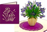 Popcards cartes popup – Carte anniversaire Fleurs Iris Iris Amitié Félicitation Bon rétablissement Carte pop-up Consolation Carte de voeux 3D