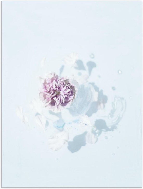 Poster – Paarse Bloem in het Wit - 30x40cm Foto op Posterpapier