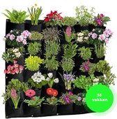 Homefy Verticale Tuin - 36 Vakken - 100 x 100 CM - Moestuin Minigarden