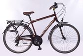 ASTORIA GENTS 28 INCH H50 > 21 SPEED BROWN