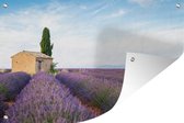 Tuinposter - Tuindoek - Tuinposters buiten - Lavendelveld met een huis in Provence - 120x80 cm - Tuin