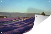 Tuinposters buiten Lavendel veld in Provence - 90x60 cm - Tuindoek - Buitenposter