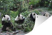 Tuinposter - Tuindoek - Tuinposters buiten - Panda - Natuur - Bamboe - 120x80 cm - Tuin