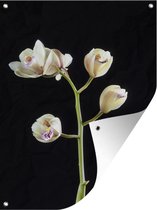 Tuin decoratie Een tak met orchideeën op een zwarte achtergrond - 30x40 cm - Tuindoek - Buitenposter