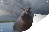 Muurdecoratie Nijlpaard - Water - Wolken - 180x120 cm - Tuinposter - Tuindoek - Buitenposter