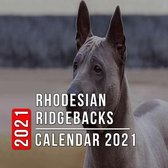 Rhodesian Ridgebacks Calendar 2021