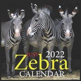 JUST Zebra CALENDAR 2022
