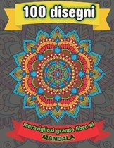 100 Disegni Meravigliosi Grande Libro Di Mandala