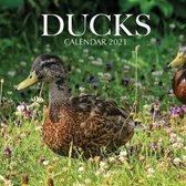 Ducks Calendar 2021