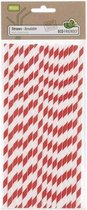 Papieren Rietjes | Paper Straws | Cocktails | Drankjes | Milieuvriendelijk & Duurzaam | 40 stuks | Rood