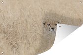 Muurdecoratie Verstopte cheetah in hoog gras - 180x120 cm - Tuinposter - Tuindoek - Buitenposter