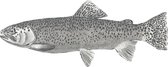ESTAhome fotobehang vis wit en zwart - 158933 - 1 x 2.5 m
