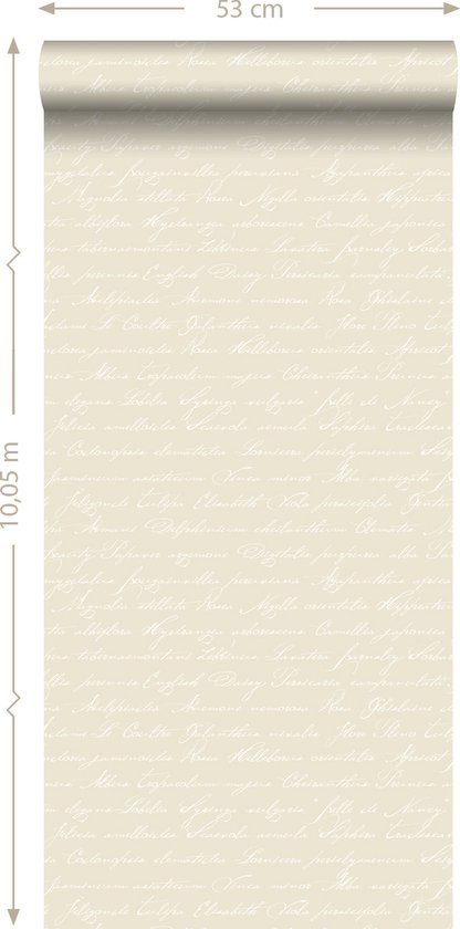 papier peint intissé imprimé craie manuscrite noms de fleurs latines beige - 128033 ESTAhome
