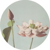 ESTAhome zelfklevende behangcirkel lotusbloem zacht roze en vergrijsd blauw - 158994 - 70 x 70 cm