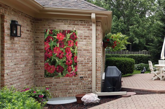 Affiche de jardin Fleurs de zinnia rouge pendant une journée ensoleillée 80x120 cm - Toile de jardin / Toile d'extérieur / Peintures pour l'extérieur (décoration de jardin)