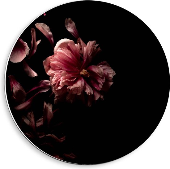 Forex Wandcirkel - Zwarte Achtergrond met Roze Bladeren - 40x40cm Foto op Wandcirkel (met ophangsysteem)