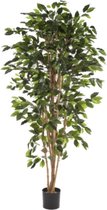 Kunstplant Ficus Nitida - 120 cm