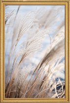 JUNIQE - Poster met houten lijst Grass 5 -40x60 /Bruin & Wit