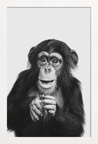JUNIQE - Poster in houten lijst Chimpanzee II -30x45 /Grijs & Zwart