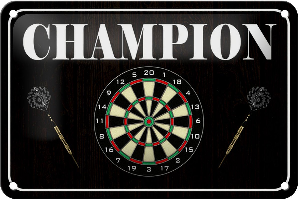 Blechschild Spruch 18x12cm Darts Champion