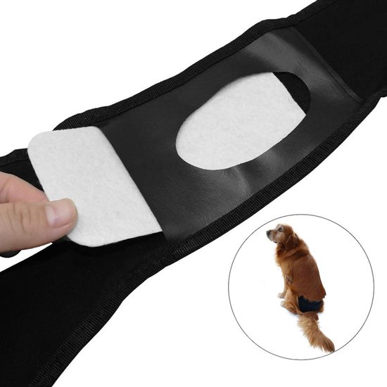 Avont 3 wasbare luiers voor teefjes met bandjes, beschermbroekjes, comfortabele laag bij menstruatie, loopsheid, incontinentie, blauw/oranje/grijs (L Avont 3 wasbare luiers voor teefjes met bandjes, beschermbroekjes, comfortabele laag bij menstruatie, loopsheid, incontinentie, blauw/oranje/grijs (L