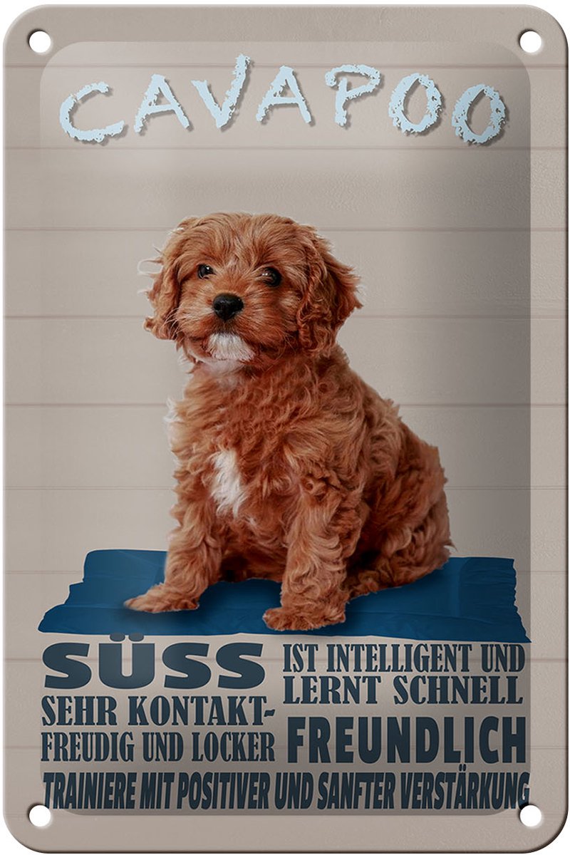 Blechschild Spruch 12x18cm Cavapoo Hund süss freundlich