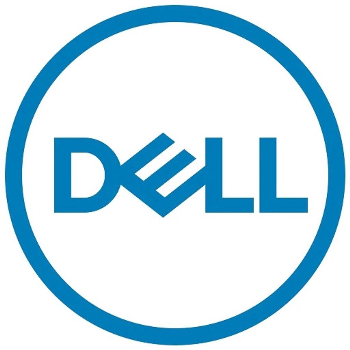 DELL 161-BBRL interne harde schijf 4 TB 7200 RPM 3.5" SATA III